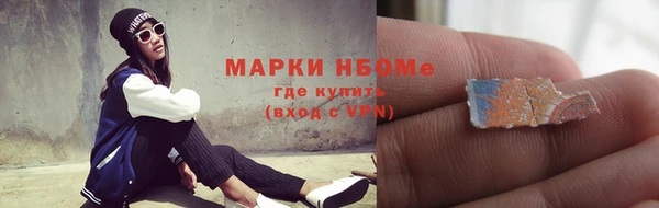 прущий лед Богданович