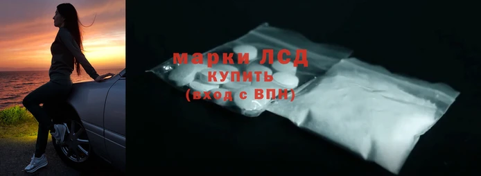 сатива Сосновка