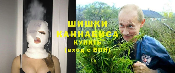 дмт Богородск