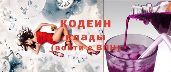 прущий лед Богданович